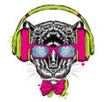 Black Panther headphones. Hipster. Vector illustration.