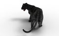 Black panther isolate on white background