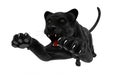 Black panther isolate on white background