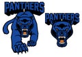 Black panther mascot