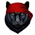 Black panther, puma. Head of animal. Wild cat portrait. Bandana. Pirate. Motorcycle.