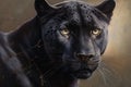 a black panther, rendered in photorealistic detail.