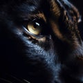 Black pantherâs eyes close up