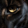 Black pantherâs eyes close up