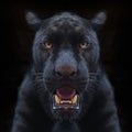 Black panther shot close up black background