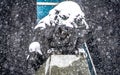 Black panther statue seen through falling snow flakes Royalty Free Stock Photo