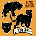 Black Panthers - vector set isoled Royalty Free Stock Photo