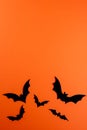 Black paper bats on orange with copy space Royalty Free Stock Photo