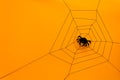 Black paper spider with web on yellow background. Halloween concept.