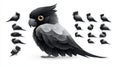 A black parrot with a yellow eye stands on a white background with multiple silhouettes of the bird in different poses Royalty Free Stock Photo