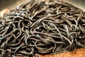 Black pasta squid ink closeup italian taglierini al nero di seppia Royalty Free Stock Photo