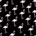 Black Pastel Pink Flamingo Pattern Background