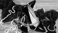 Black patent leather women`s shoes, pearls, stockings with gloves and diadem