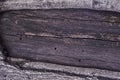 Black pattern of dried heartwood of trunk in the bark