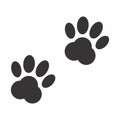 Paw prints of cat or dog