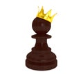 Black pawn with a golden crown Royalty Free Stock Photo