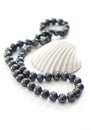 Black pearls and sea shell Royalty Free Stock Photo