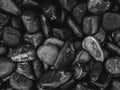 Black pebbles background texture. Royalty Free Stock Photo