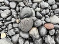 Black pebbles at beach of Dritvik in Snaefellsnes Peninsula, Iceland. Royalty Free Stock Photo