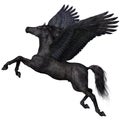 Black Pegasus Profile Royalty Free Stock Photo