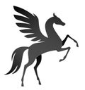 Black pegasus