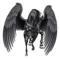 Black Pegasus Winged Horse Royalty Free Stock Photo