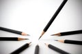 Black pencil standing out from crowd of plenty identical black fellows. business success concept. Royalty Free Stock Photo