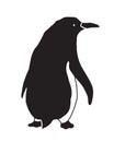 The Black Penguin. Vector illustration.