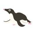 Black Penguin vector illustration isolated on white background. Flat simple style Royalty Free Stock Photo