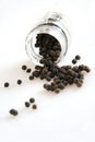 Black pepper