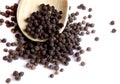 Black pepper Royalty Free Stock Photo