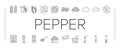 Black Pepper Aromatic Hot Spice Icons Set Vector