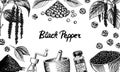 Black pepper background in Vintage style. Mortar and pestle, Allspice or peppercorn, Mill and dried seeds, a bunch of