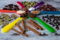 Black pepper, cardamom, coriander, mustard seeds, bay leaf, cinnamon, anise in the colorful Royalty Free Stock Photo