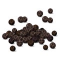 Black pepper closeup vector illustration Royalty Free Stock Photo
