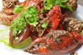 Black Pepper Crab Royalty Free Stock Photo