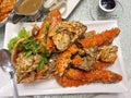 Popular black pepper crab of Singapore Royalty Free Stock Photo