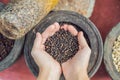 Black pepper in female hands on a background of spices Royalty Free Stock Photo
