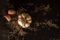 Black pepper, Garlic and rosemary on wooden plate on black background. Delicious Fresh and dried herb for steaks on wooden table. Royalty Free Stock Photo