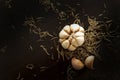 Black pepper, Garlic and rosemary on wooden plate on black background. Delicious Fresh and dried herb for steaks on wooden table. Royalty Free Stock Photo