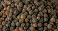 Black pepper grains as background close up Royalty Free Stock Photo