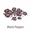 Black pepper. Hand drawn fragrant bitter hot seeds, sketch for labels and packages in engraving style. Aromatherapy