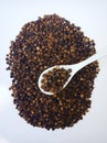 Black pepper Royalty Free Stock Photo