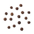 Black pepper isolated on white background Royalty Free Stock Photo