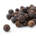 Black pepper isolated on white background Royalty Free Stock Photo