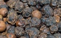 Black Pepper , Kaali Mirch Royalty Free Stock Photo