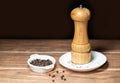 Black pepper mill with peppercorns on a white ceramic plate Royalty Free Stock Photo