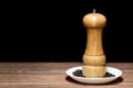 Black pepper mill with peppercorns on a white ceramic plate Royalty Free Stock Photo