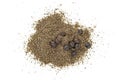 Black pepper powder with black pepper corns on white background Royalty Free Stock Photo