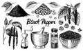 Black pepper set in Vintage style. Mortar and pestle, Allspice or peppercorn, Mill and dried seeds, a bunch of spices